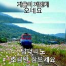 8월을 보내며 이미지