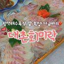 대촌미락 | 함덕 횟집 :: "대촌회미락"에서 밤바다 보며 다금바리 첫도전! 스끼다시까지 푸짐! (룸 예약 가능)