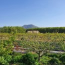 설봉농장 이미지