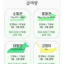 팅크 이미지