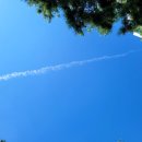 아메리칸피자 조대산수점 이미지