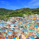 감천유통 - 사상구 | 감천유통