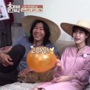 미담민박 이미지