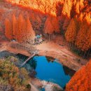 가을여행 이미지