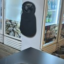 조개까는삼겹살 이미지