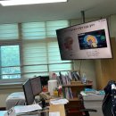 진로체험 아로마테라피스트 | 신산초등학교 진로직업체험 | 아로마테라피스트 &amp; 감정오일 테라피 클래스