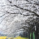 서시천자전거길2 이미지