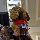 베네시안PC 이미지