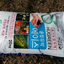 발산교 Daum카페