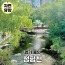정평천 | 용인 산책하기 좋은곳 수지 정평천 신정공원 걷기 주차장