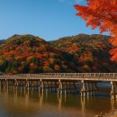 [시민제안강좌]일본 도시 여행 (후쿠오카, 큐슈 편) | 【10월 일본 여행 추천】가을 단풍이 절정인 도시 BEST5 + 항공권 꿀타이밍