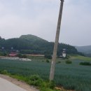 신정목장 네이버블로그