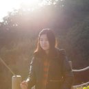 남해어시장 이미지