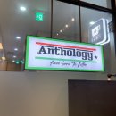 앤쏠로지 이미지