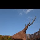 신상근린공원 이미지