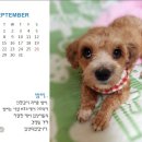 2015년 동행 달력이 나왔습니다. 이미지