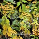 식물원 화장실 이미지