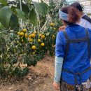 윤지농장 이미지