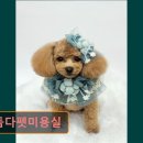 복현정형외과의원 이미지