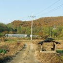 분당주막길 이미지