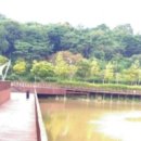 물빛근린공원 이미지