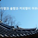 바다마중 이미지