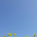 다이어리애월 이미지