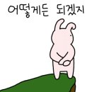 153카페