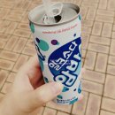 봄볕살참치 | 근황! (봄뜰콘서트/키보드커버만들기/루프트한자후기/에어레일이용/독일청소용베이킹소다/양말정리하는...