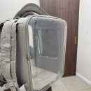 다나을동물병원 | 고양이 이물질 삼킴 - 마스크 끈 삼킴 사고😭(미사동물병원/진료비용/야간진료/다나을동물병원)