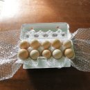 해보농장 이미지