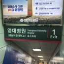 경성대학교 제2기숙사 | [한달살기/대구] 영남이공대학교 행복기숙사에서 한 달 살아본 솔직 후기