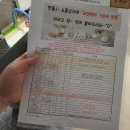 가온해 - 서귀포시 난드르로 4 | [육아일기] 내돈내산 셀프백일상대여후기(온화): 가온해테이블