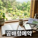 정암스포츠 | 양양숙소 선택 시 독자 유형별 영향과 예약 주의점 핵심 가이드