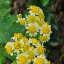 화성반월고등학교 이미지