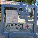 해운정사 | 진제眞際 종정 창건 참선도량 해운정사海雲精舍 해탈문解脫門•원통보전圓通寶殿