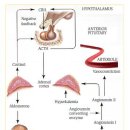 한강동물병원 이미지