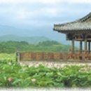군자정 Daum카페