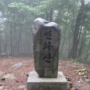 2026.7.19.일. 고성 연화산. 문화대장정 (합천 영암사터. 거창 양민학살추모공원) 이미지