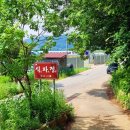 식파정 이미지