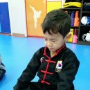 국가대표 우슈 합기도 이미지