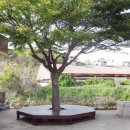 용암리마을회관 이미지