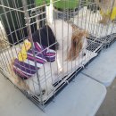 (재)홍천메디칼허브연구소화장실 | 홍천강 꽁꽁축제 개장3일 홍천겨울축제