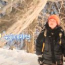 세쌍둥이네 풀꽃세상 이미지