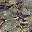 부광상사 이미지