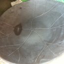 용수초교 이미지