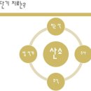 심장병 강아지 증상 (기침, 혀 파래져요, 심장 전문 강남 24시 동물병원, 심장약, 이뇨제)