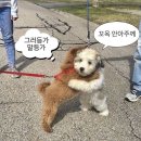 심신할인마트 이미지