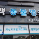 용마동물병원 이미지