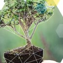 크로스팜 이미지